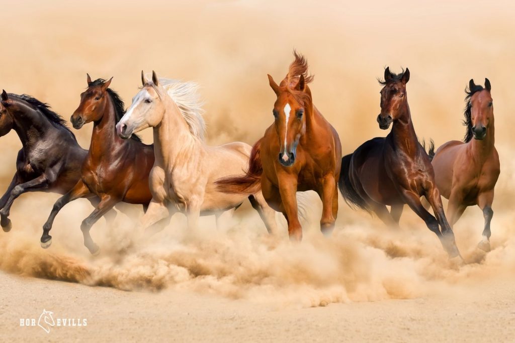 Horses running in a sandstorm