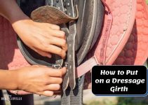 How To Use a Dressage Girth? (A Step-by-Step Guide)