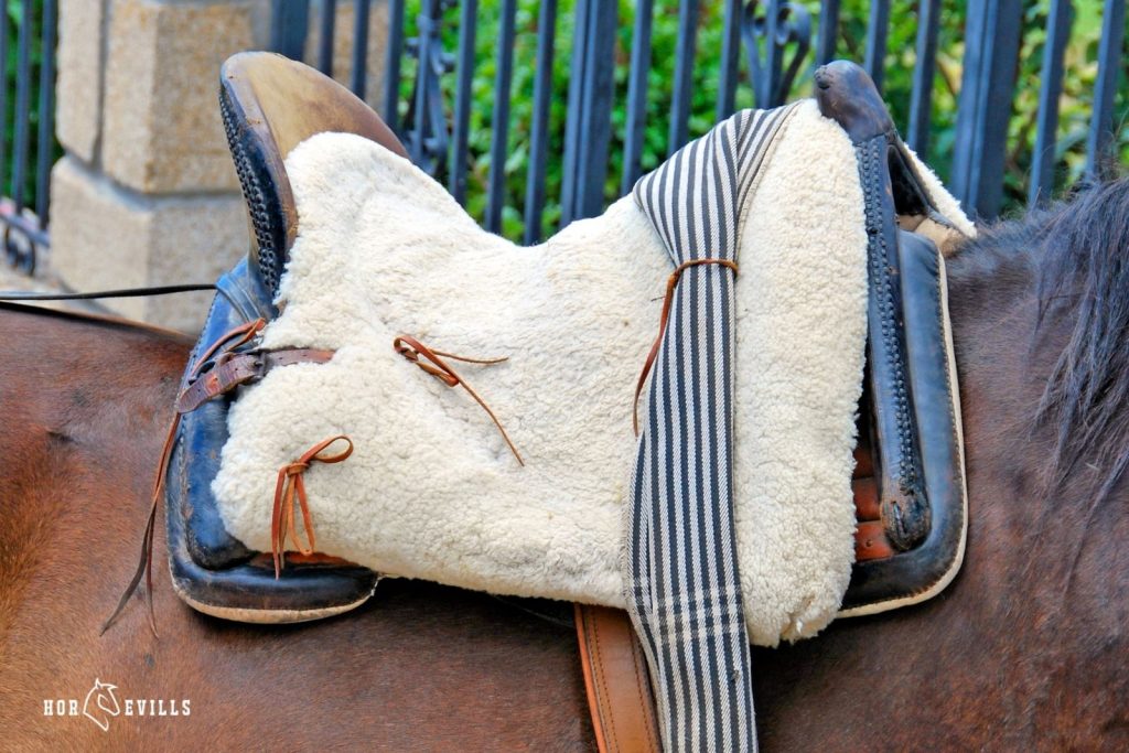 sheepskin saddle pad on a horse under title Saddles Sheepskin VS Synthetic