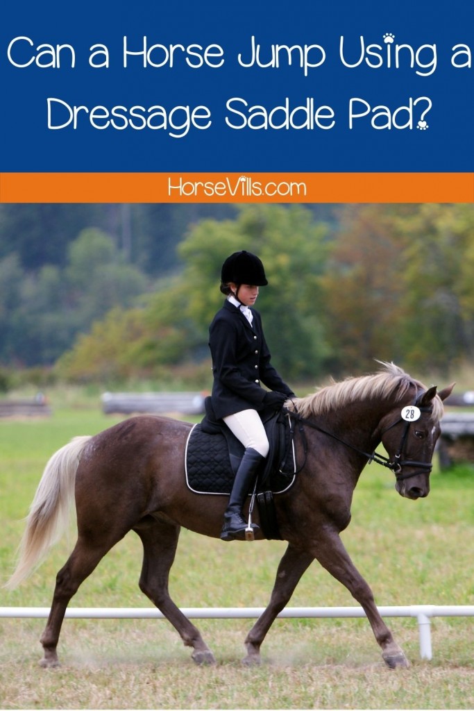 woman in a horse walking around using a dressage saddle pad