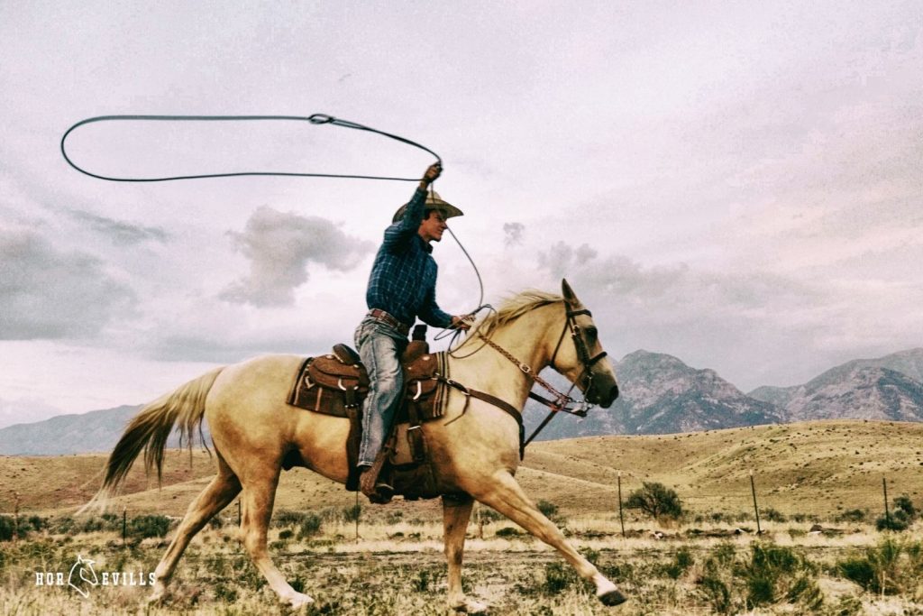 A cowboy riding a horse