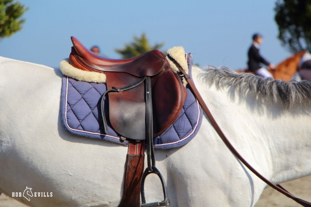 girth being properly placed on a horse but how to use a dressage girth properly?