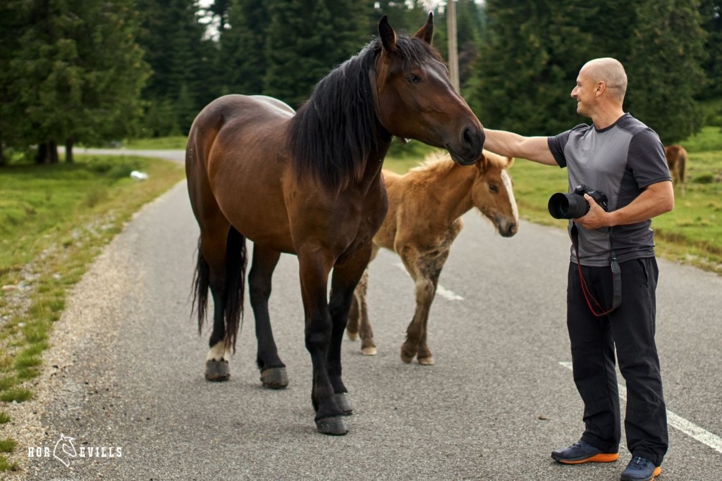 photographer petting a horse