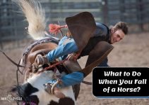 What to Do After Falling Off a Horse? (Safety Tips to Know)