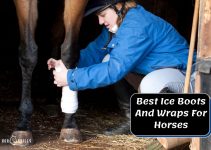 7 Best Ice Boots And Wraps For Horses (Reviewed by an Expert)