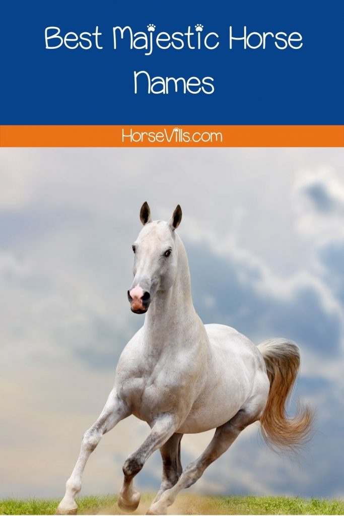 majestic white Pantaneiro horse running under title majestic horse names