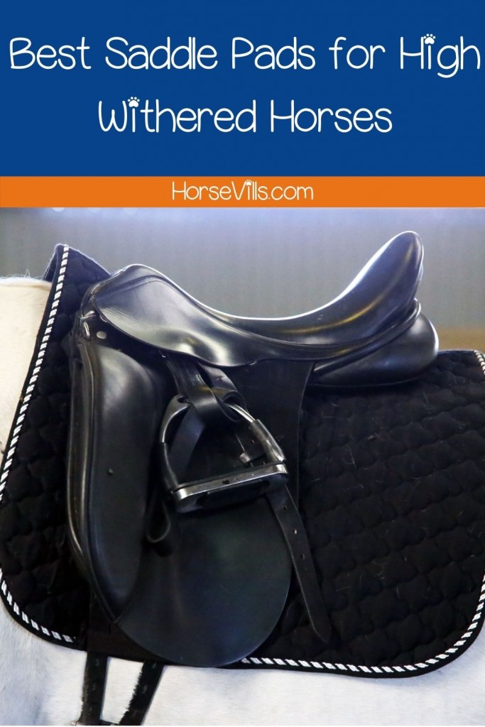 saddle pad for High Withered Horses