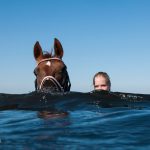 horse and girl swimming