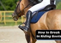 How to Break in Riding Boots: Simple Guide For Beginners