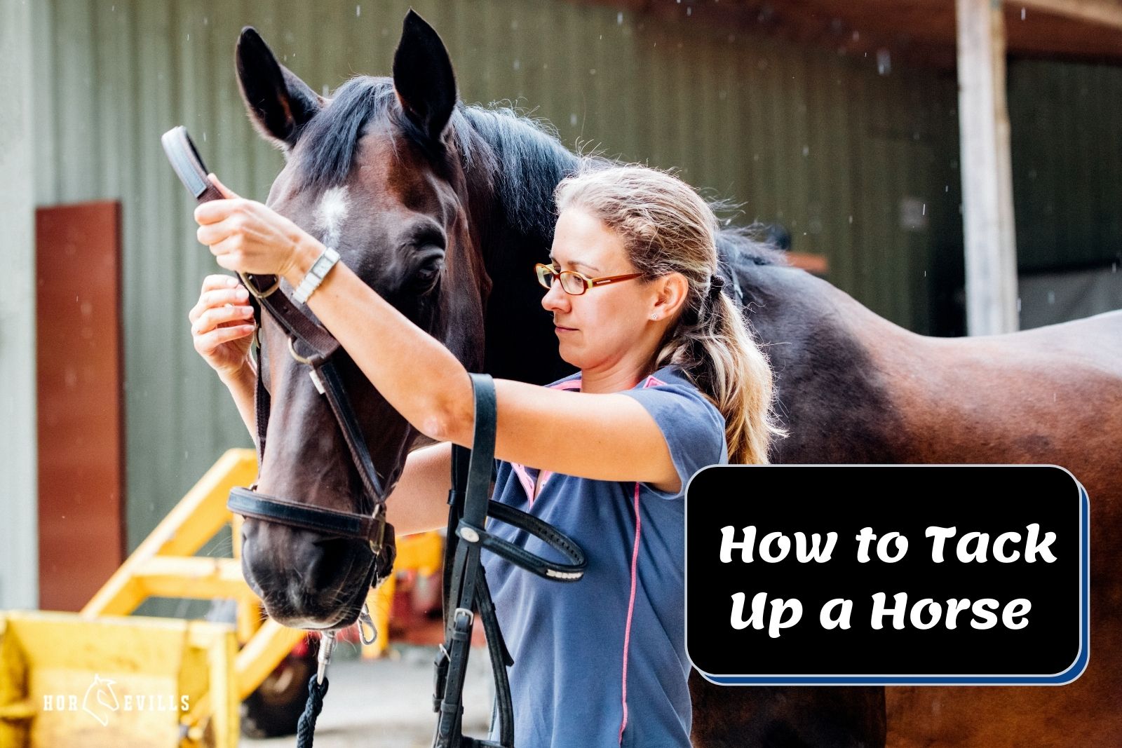 expert equestrian showing how to tack up a horse