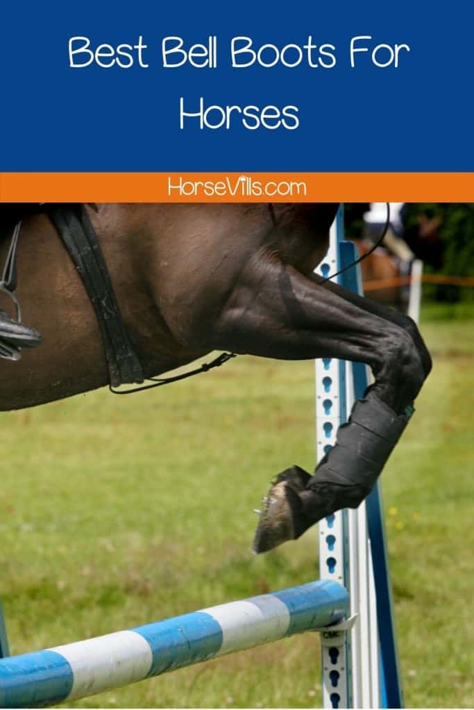 A horse jumping a bridge under title best bell boots for horses