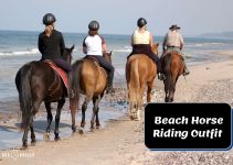 What to Wear Horseback Riding on the Beach? [Best Picks]