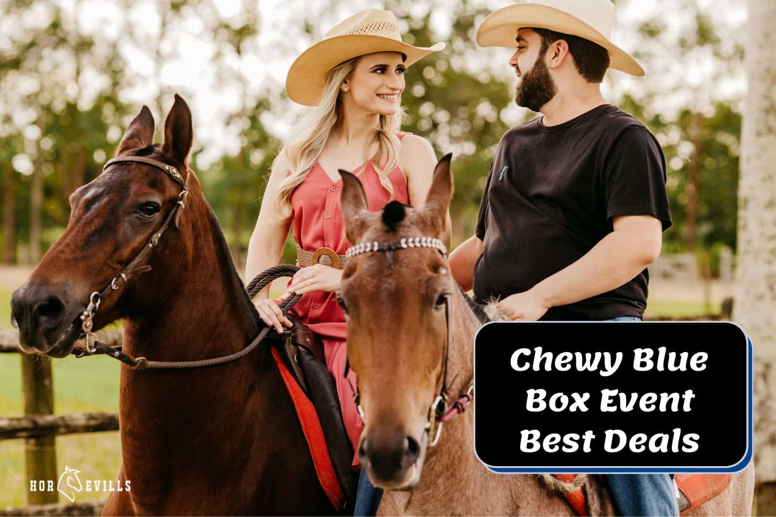 couple riding horses beside chewy blue box event signage