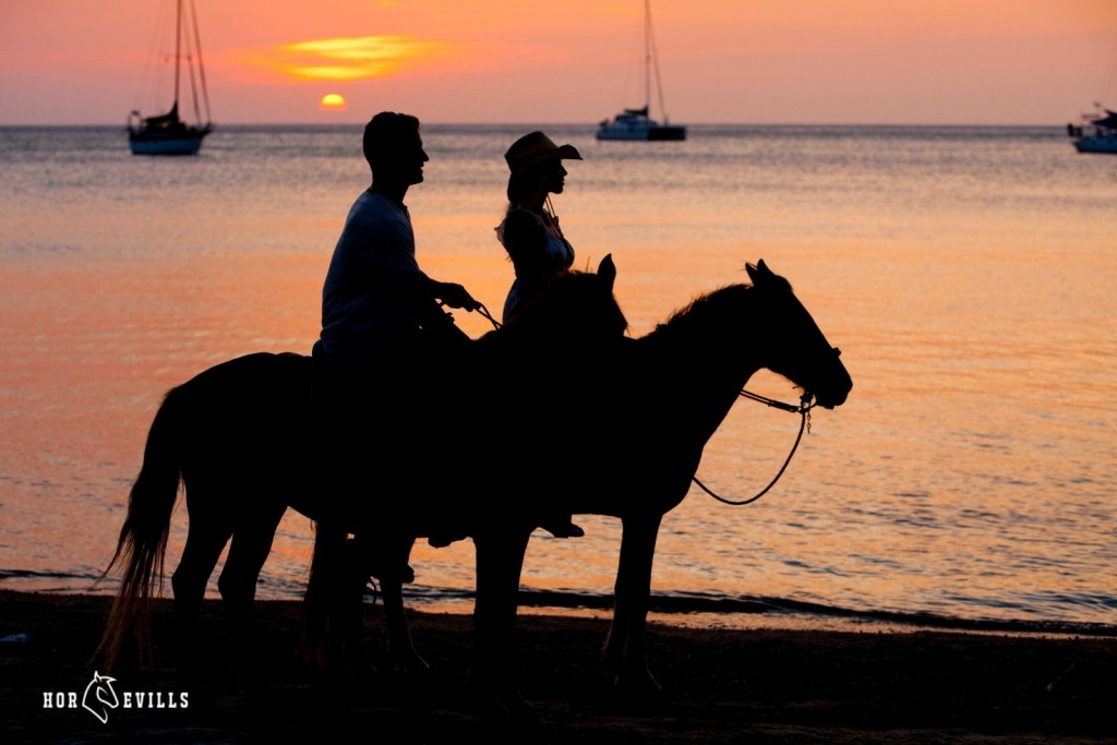 silhouette of couple riding horses on the beach