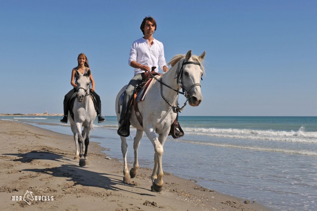 couple riding horses on the beach