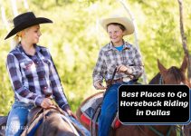 7 Best Places To Go Horseback Riding in Dallas Texas