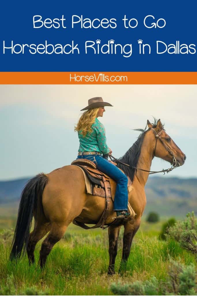 lady horseback riding in Dallas Texas