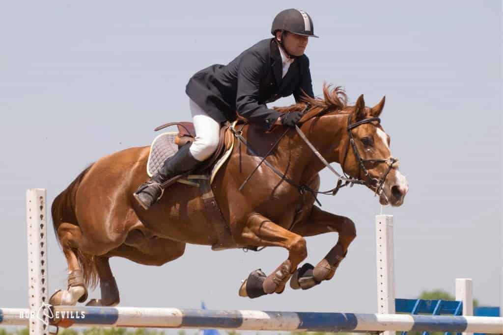 A jockey with a horse jumping a bridge under title horse show names