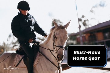 12 Horse Gear Products You Can’t Live Without [Must-Have List]