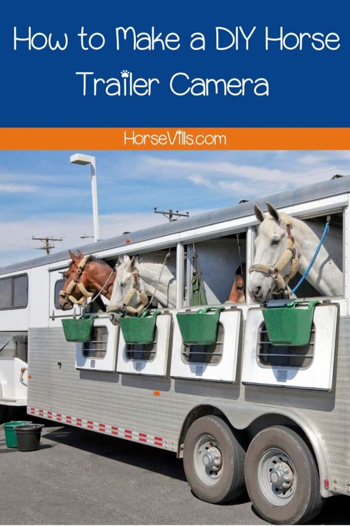 HORSES TRAVELING IN A TRAILER