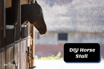 DIY Horse Stall: 4 Homemade Ideas & How You Can Build Them