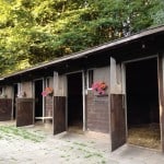 horse stalls with flower decorations