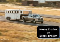 Horse Trailer VS Stock Trailer: How Are They Different?