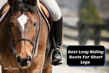 Top 6 Long Riding Boots For Short Legs (Review Guide)