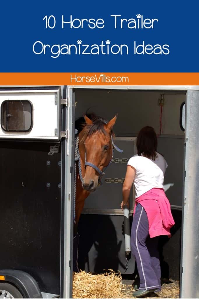 lady and a horse inside a horse trailer