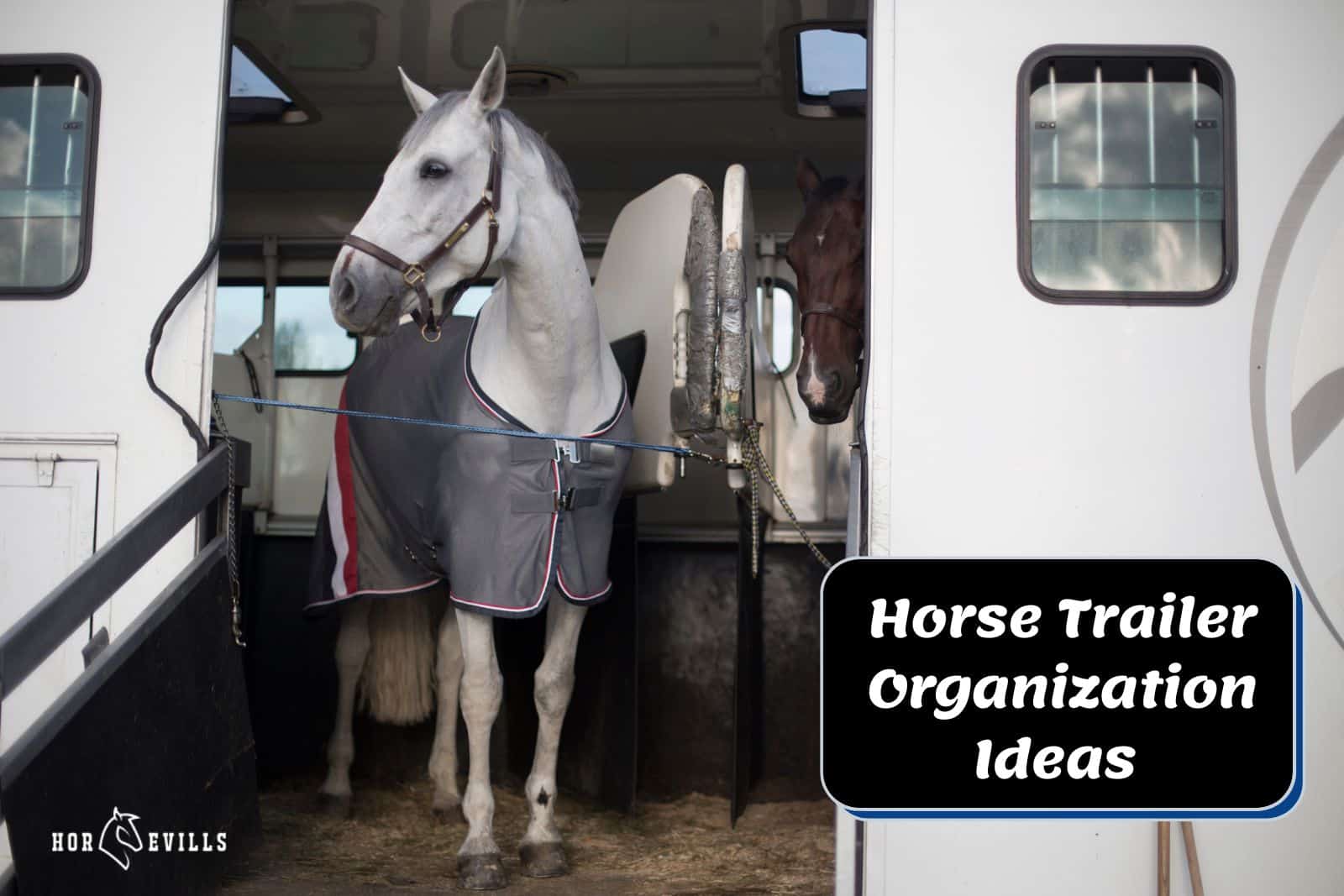 beautiful horse inside a trailer beside horse trailer organization ideas signage