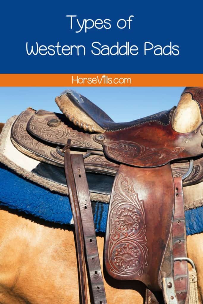 western saddle pad and saddle