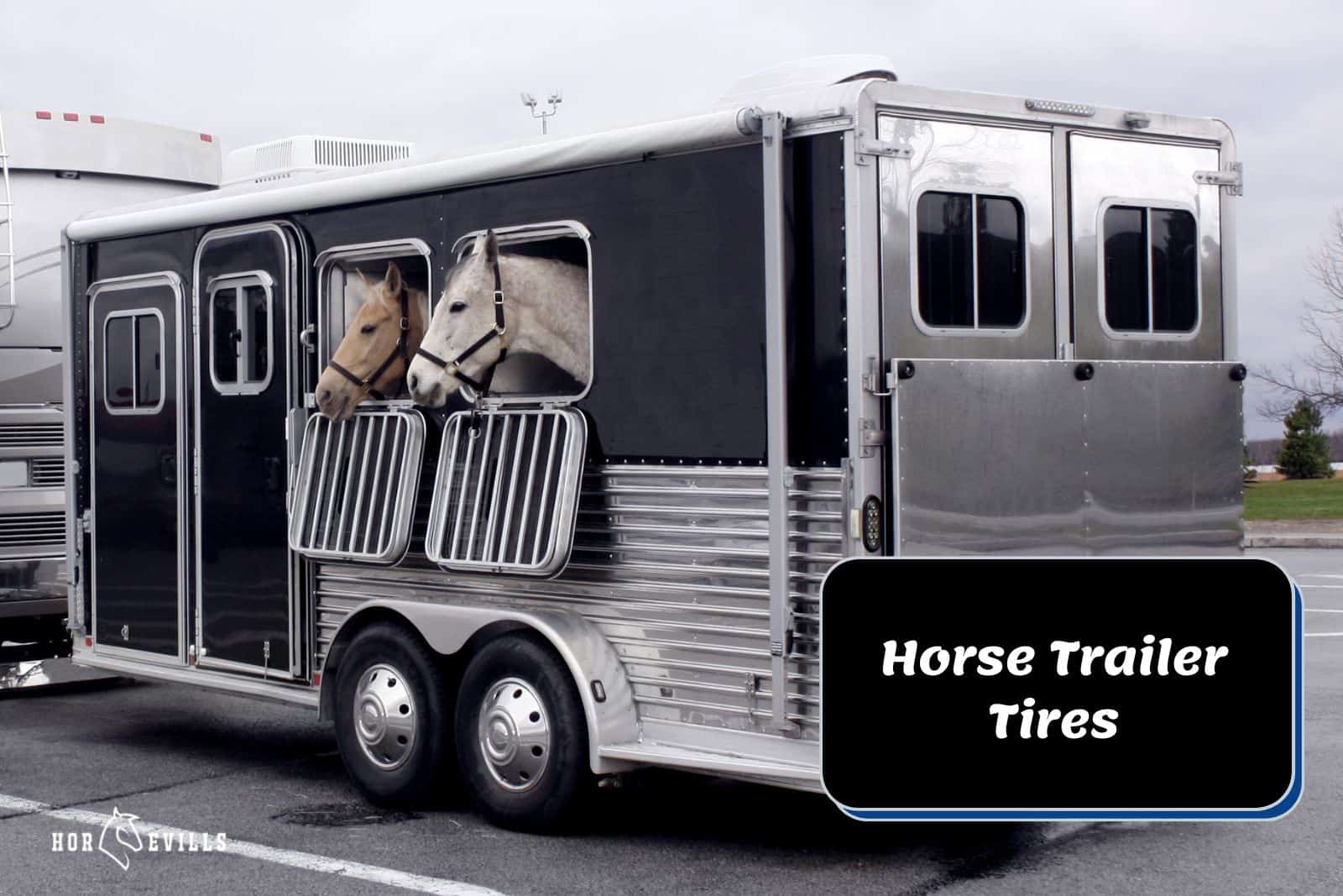 horses inside a trailer beside horse trailer tires