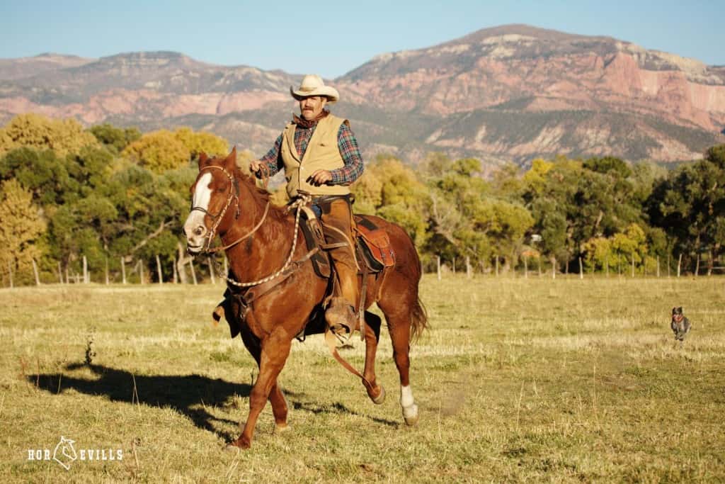 cowboy riding a horse