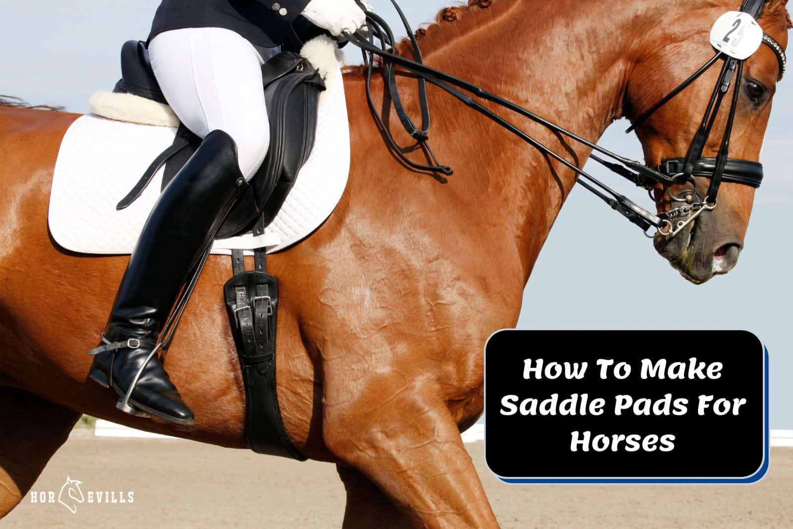 lady riding a horse with white saddle pad but how to make saddle pads for horses at home?