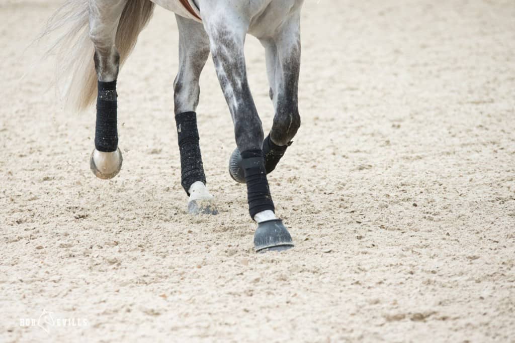 horse with wrapped legs, what are splint boots used for on horses
