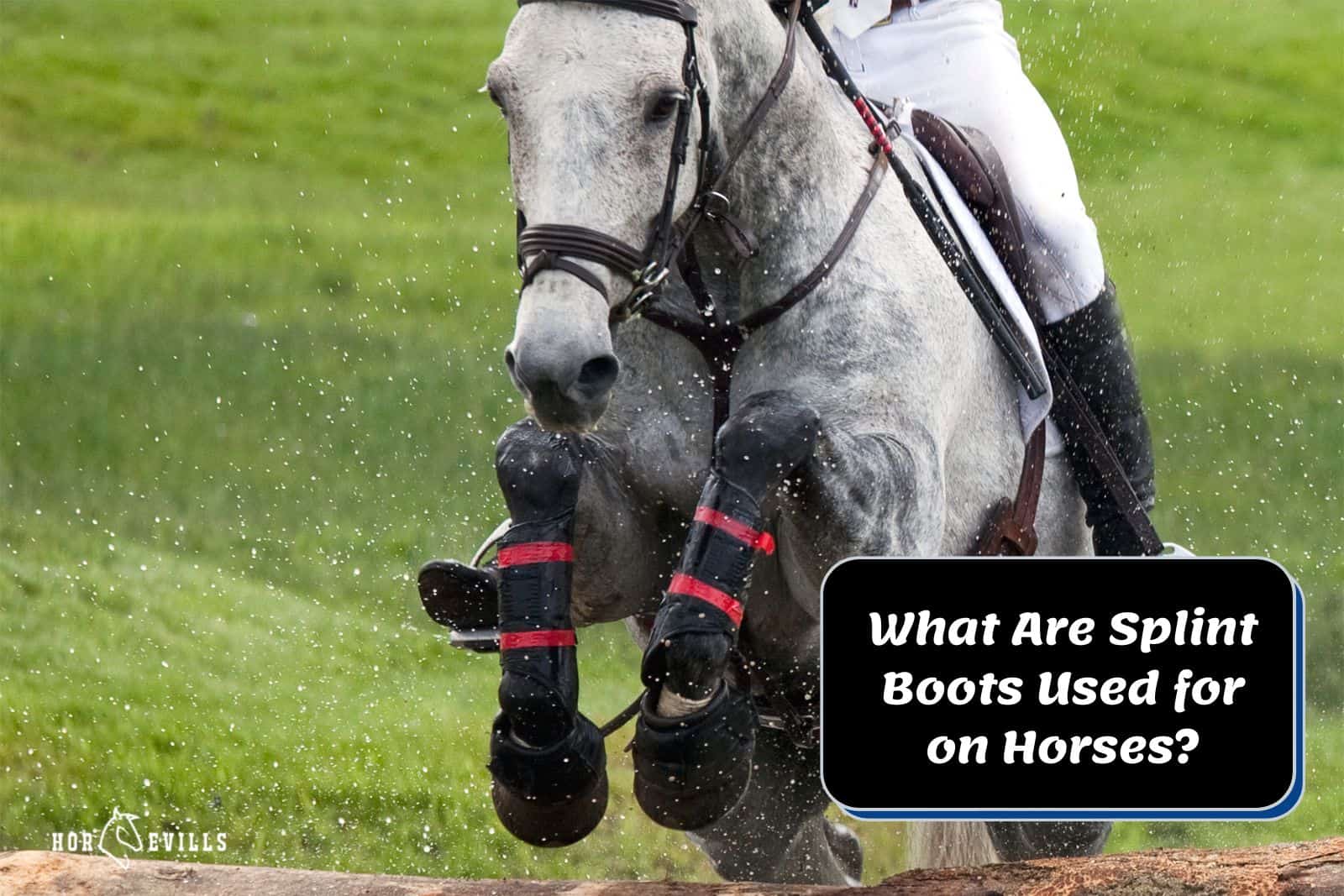 what are horse splint boots used for on horses