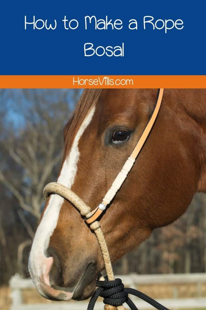 brown horse wearing a rope bosal