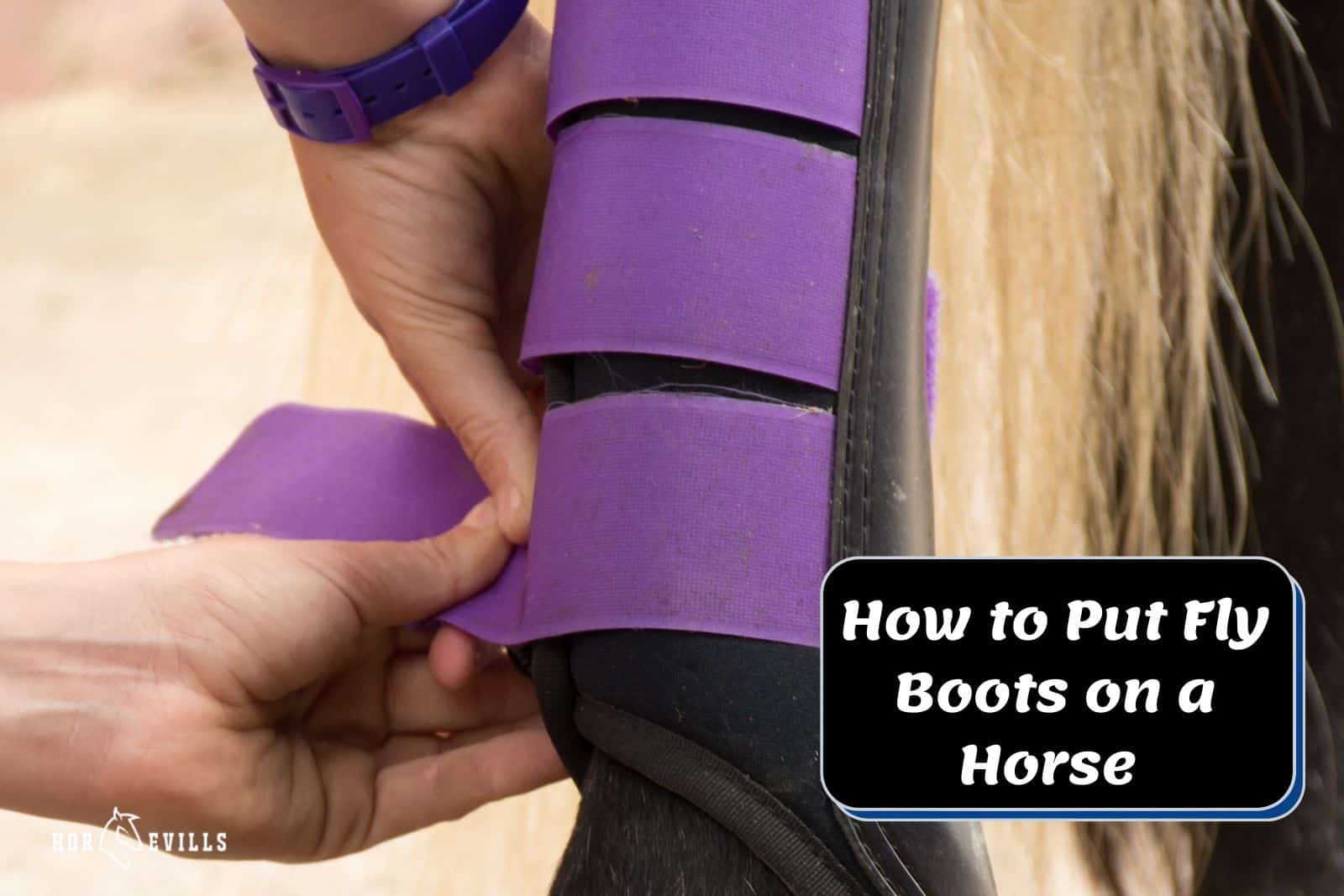lady showing how to put fly boots on a horse