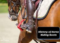 History of Horse Riding Boots [Exploring the Evolution ]