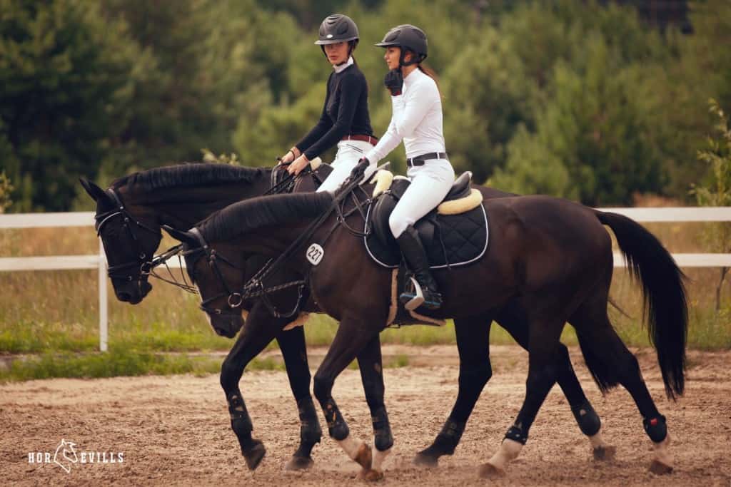 Equestrians riding horses with full gear