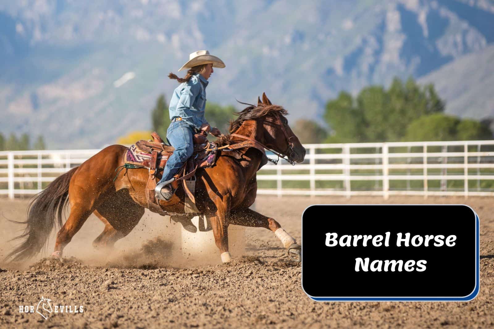 lady riding a horse for the barrel competition (barrel horse names)