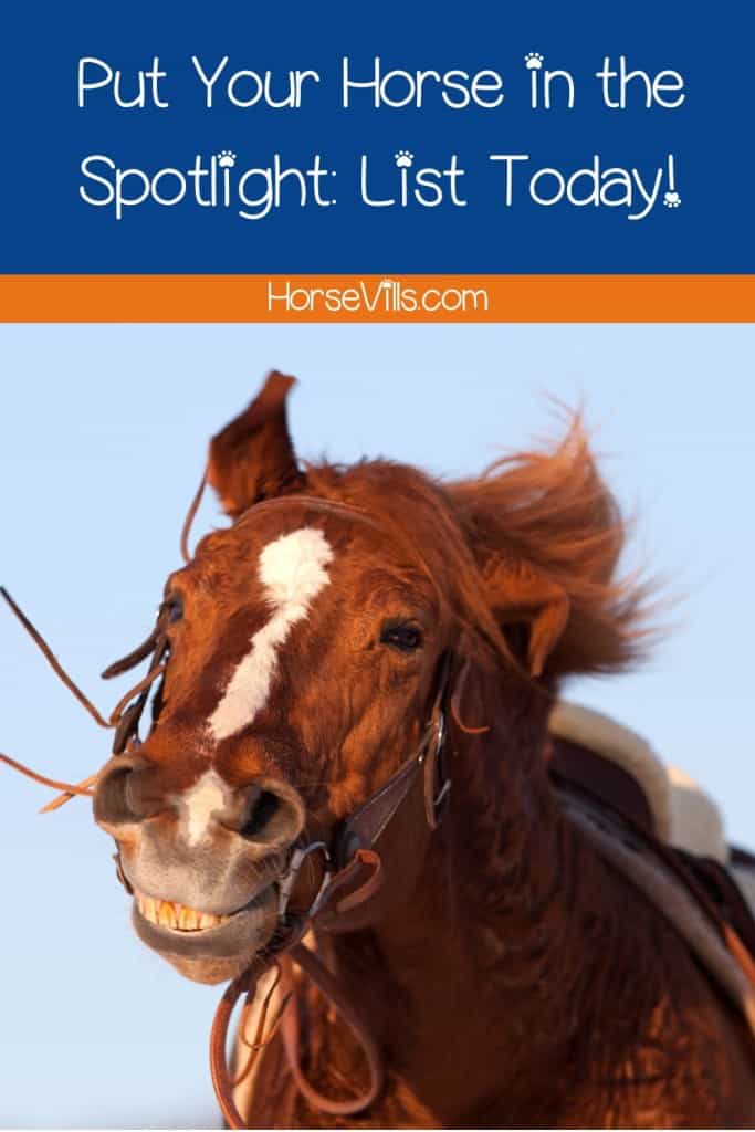 happy horse in the spotlight
