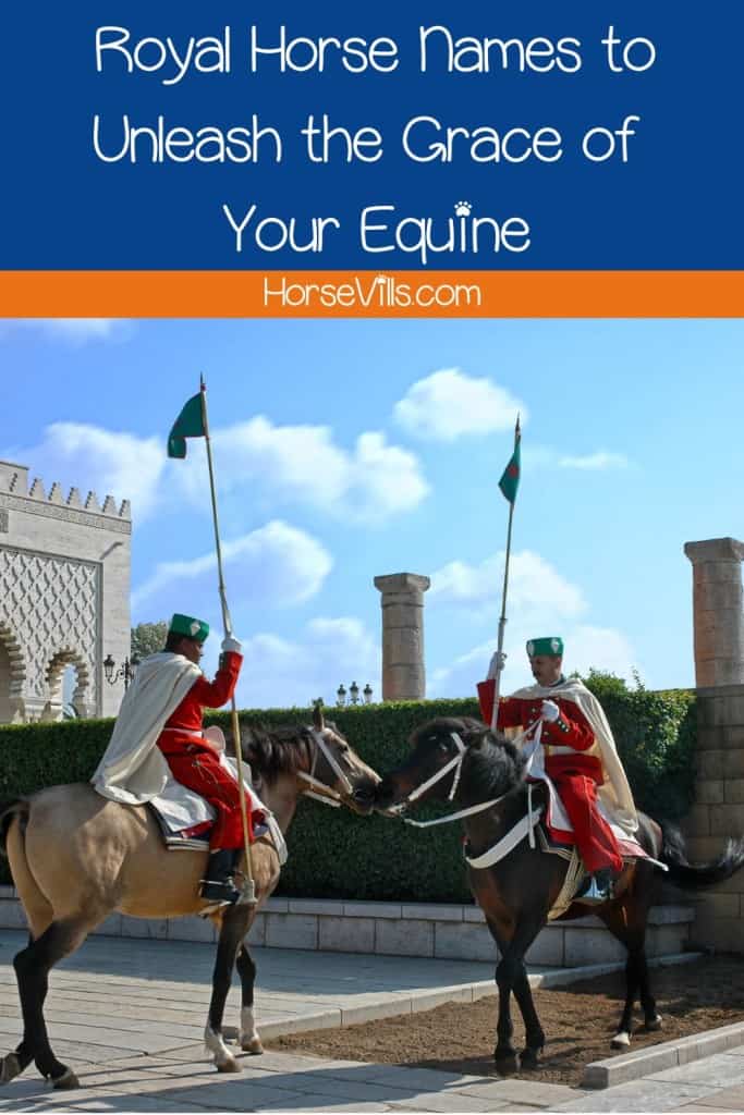 guards riding royal horses