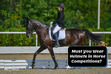 Must You Wear Helmets in Horse Competitions? Find Out!