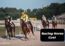 How Much Does a Racing Horse Cost in 2023? Tips for Buying