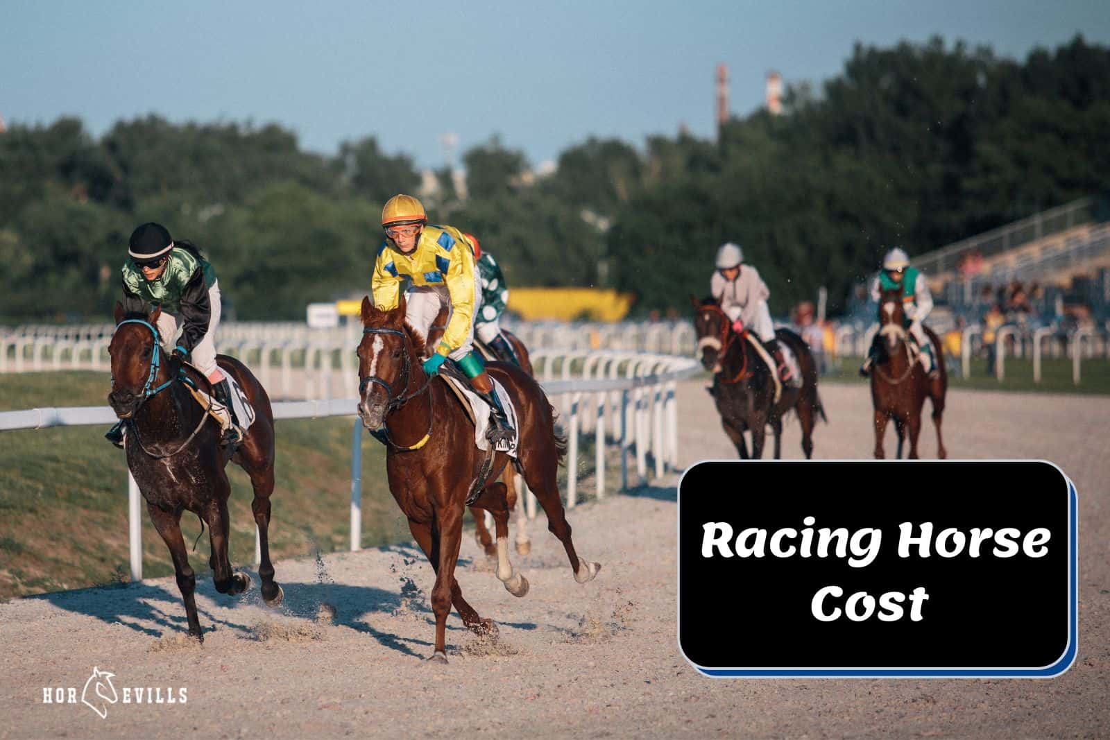 horse racing competition but How Much Does a Racing Horse Cost