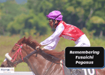 Remembering Fusaichi Pegasus: A Legendary Kentucky Derby Champion