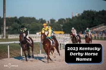 2023 Kentucky Derby: Meet the Horses & Their Unique Names!