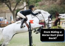 Does Riding a Horse Hurt Your Back? Expert Debunking Myths