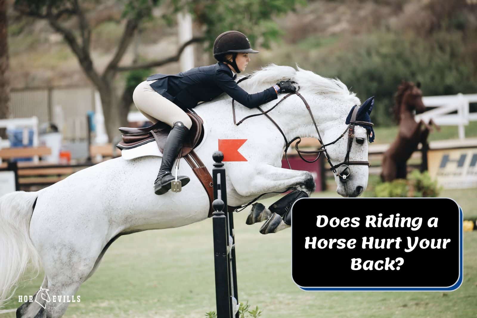 woman riding a jumping horse but Does Riding a Horse Hurt Your Back?